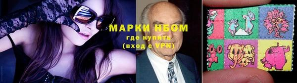 тгк Алзамай