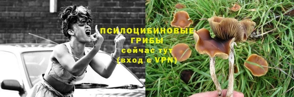 марихуана Абаза