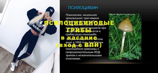 первитин Алексин