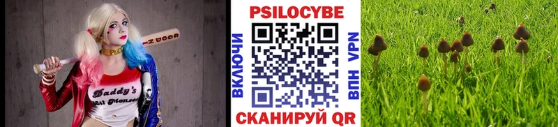 Галлюциногенные грибы ЛСД  Талдом 
